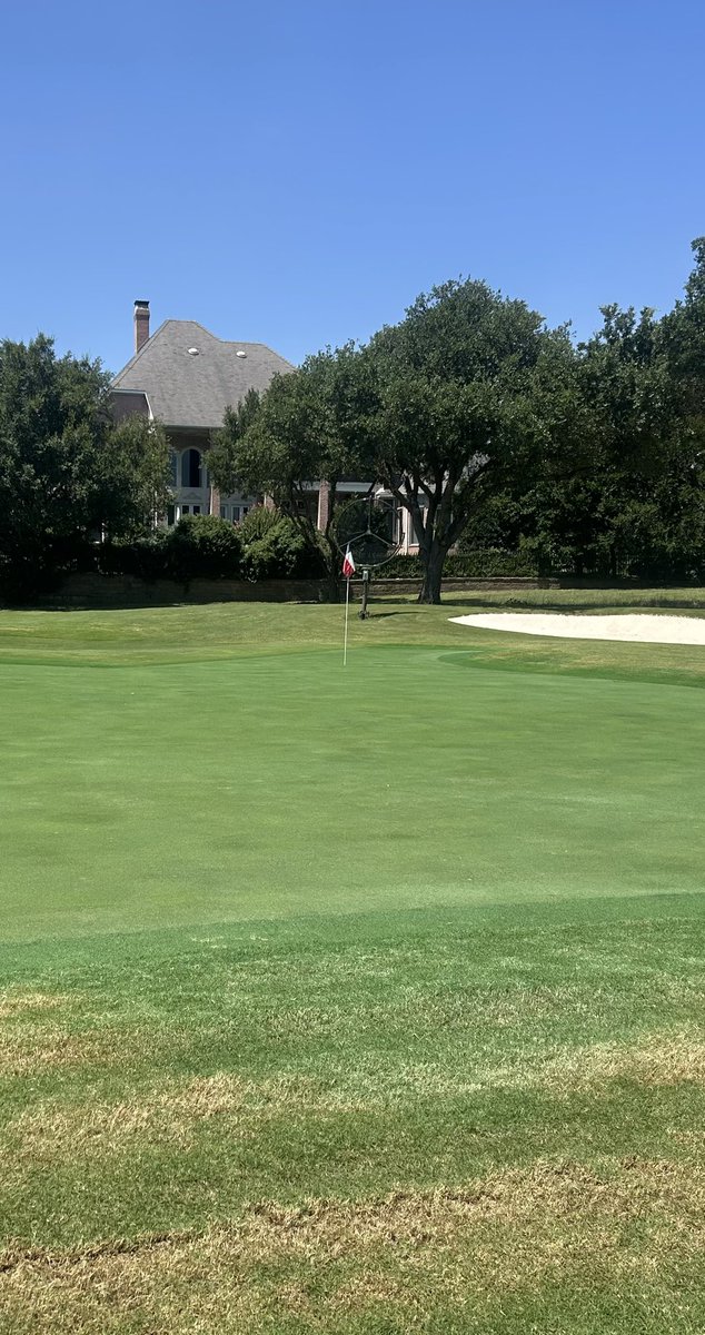 Performance Fans tweet media