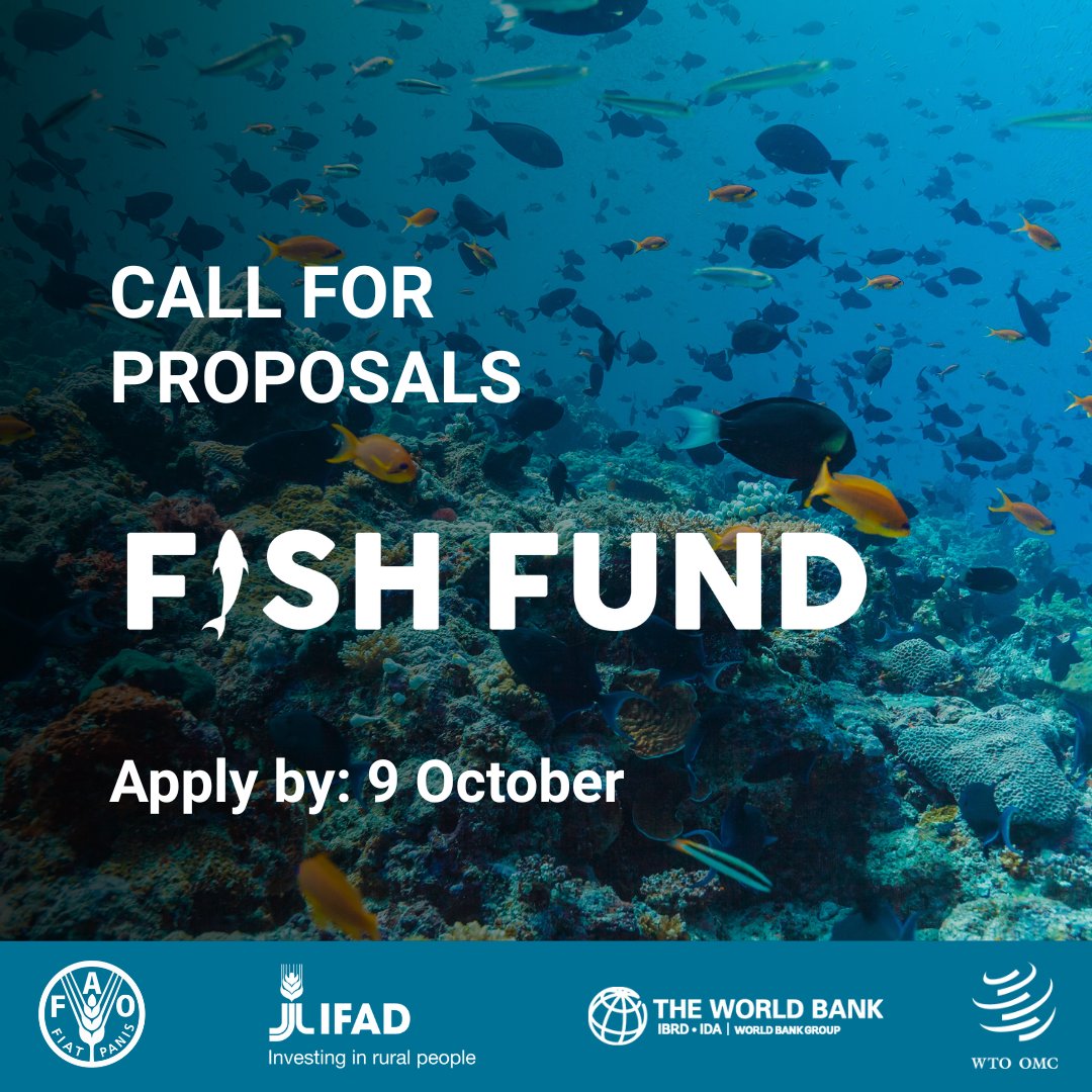 Just 3 members away from the Agreement on #FisheriesSubsidies entering into force!

Developing economies and least-developed countries that have accepted the Agreement can apply to the WTO Fish Fund for support with its implementation by 9 October.

🔗wtofishfund.org