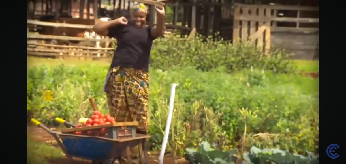 eric_mnene's tweet image. That great VO on those Elgon Kenya fertilizer ads during Chan 2024 on KBC? 👀 Yep, yours truly. Mlete biashara if you want it to grow. See what I planted there? 🌱 😉