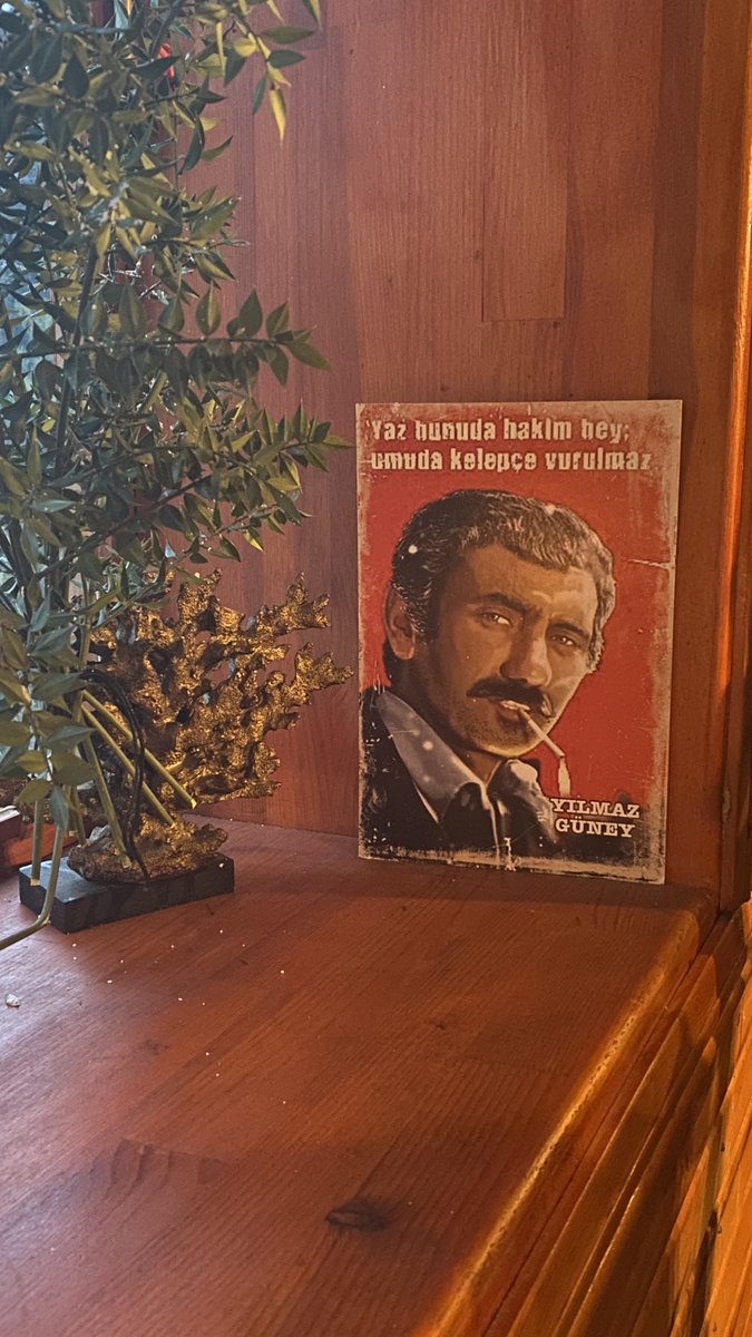 Az önce uyukladığım anda kulağıma fısıldadı…

Gözbebeklerim de, yüreğim de sanki odanın tavanından fışkıracak kadar büyüdü hasreti içimde diyordu..!

#geceyenot