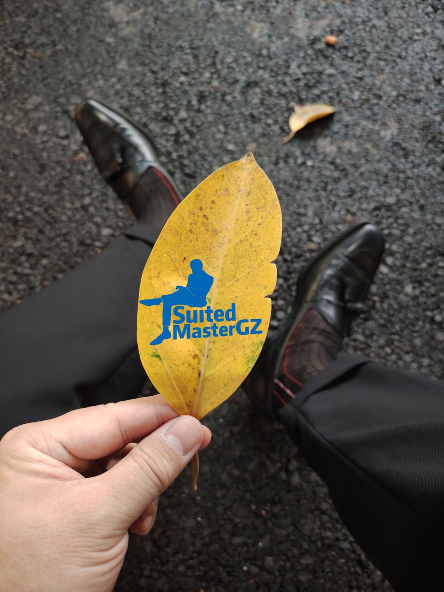 patrick_suit's tweet image. 一叶知秋