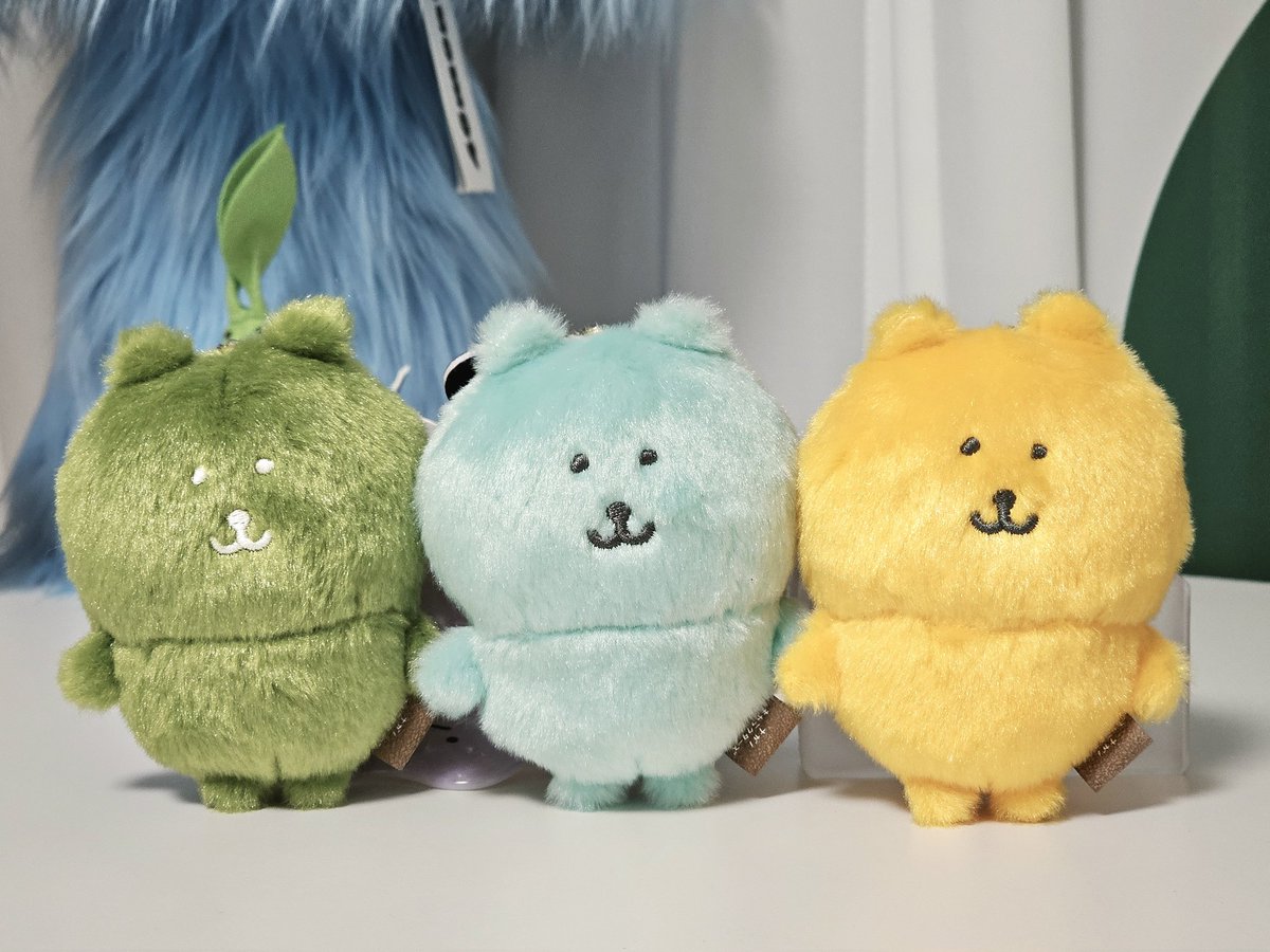 우리 집 뉴페이스 🧸✨️