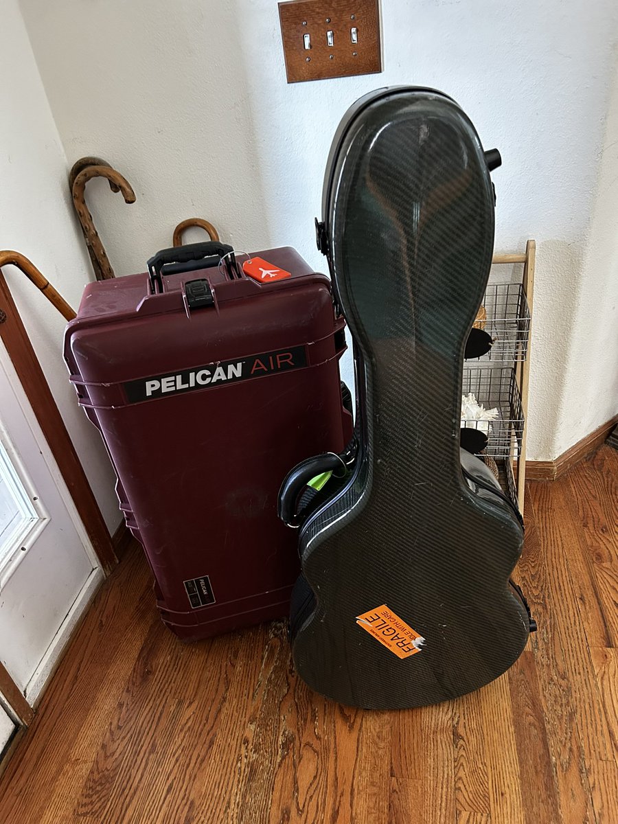 Been slowly tweaking and improving my musician travel gear for years.  This combination has proved to be a winner.  That Pelican is rock solid and the Hoffee carbon fiber case is a beast.  Luggage tags are bright with steel cables.  Heading to NYC for a show tommorow.