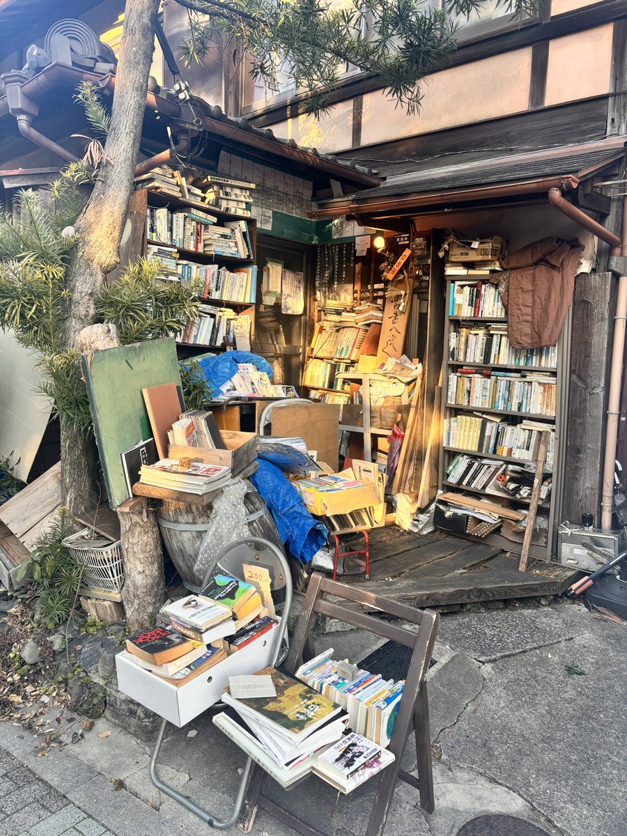 #mp100
#モブサイコ100