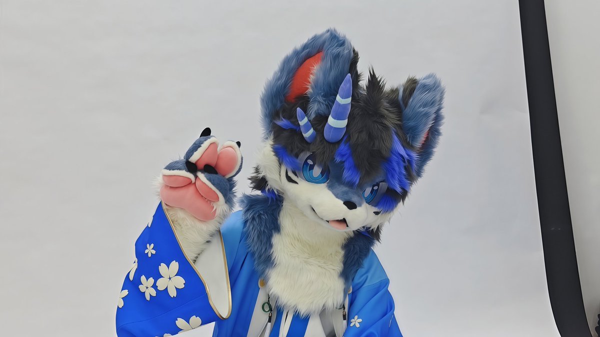 今天生日，补发两张毛五好了
