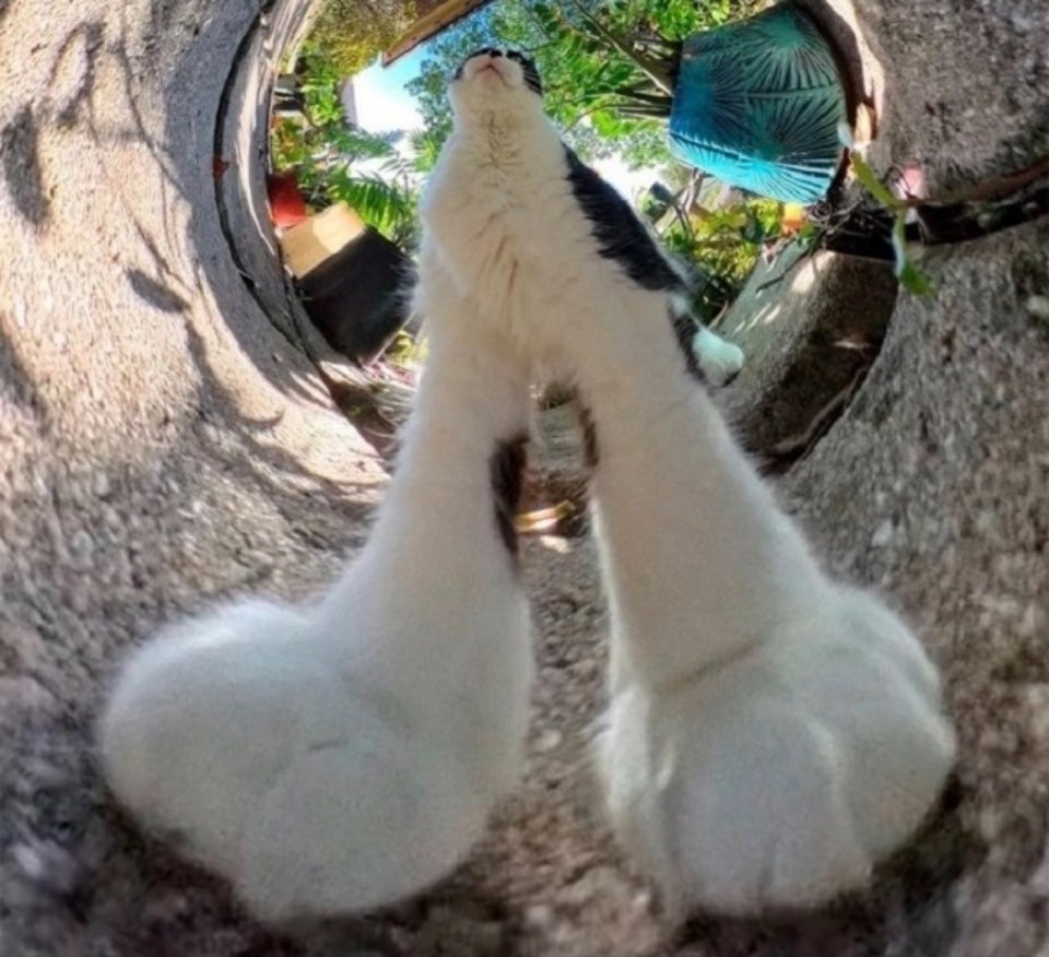 Ukho od sledzia 8/0 (@dyrkaodbublik) on Twitter photo 