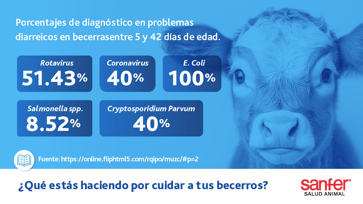 ¿Sabías que identificar a tiempo qué está detrás de las diarreas en tus animales puede ahorrarte muchos dolores de cabeza (y de bolsillo)?
