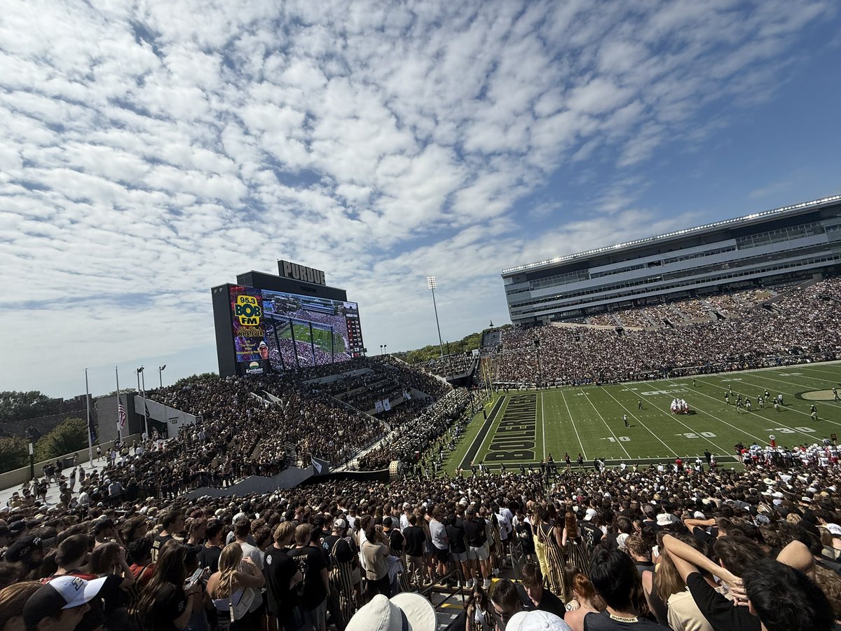 BoilerMuse tweet media