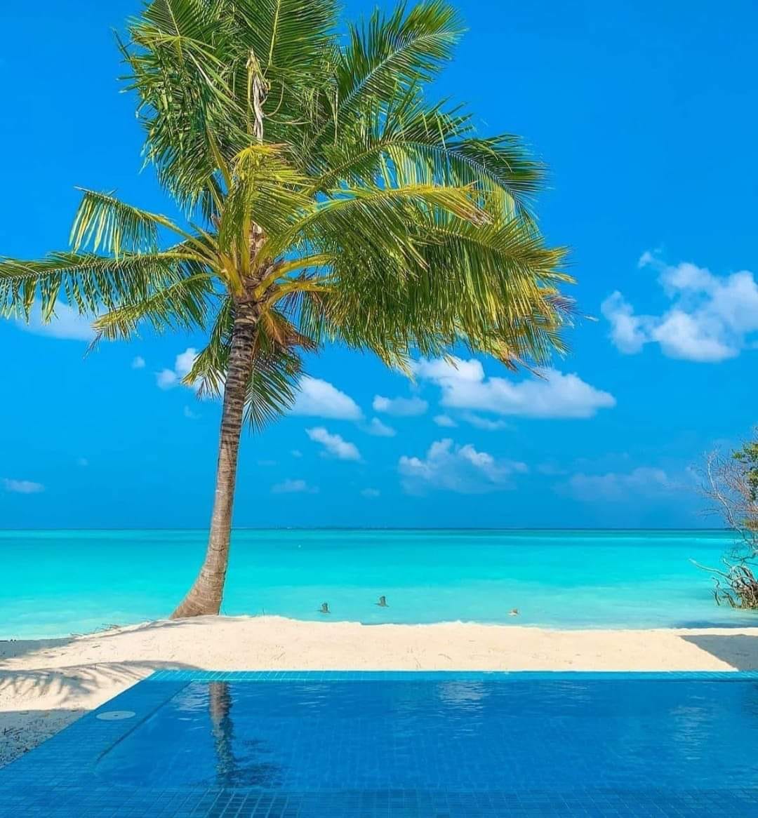 Hideaway Beach Resort &amp; Spa Maldives is AMAZING..–