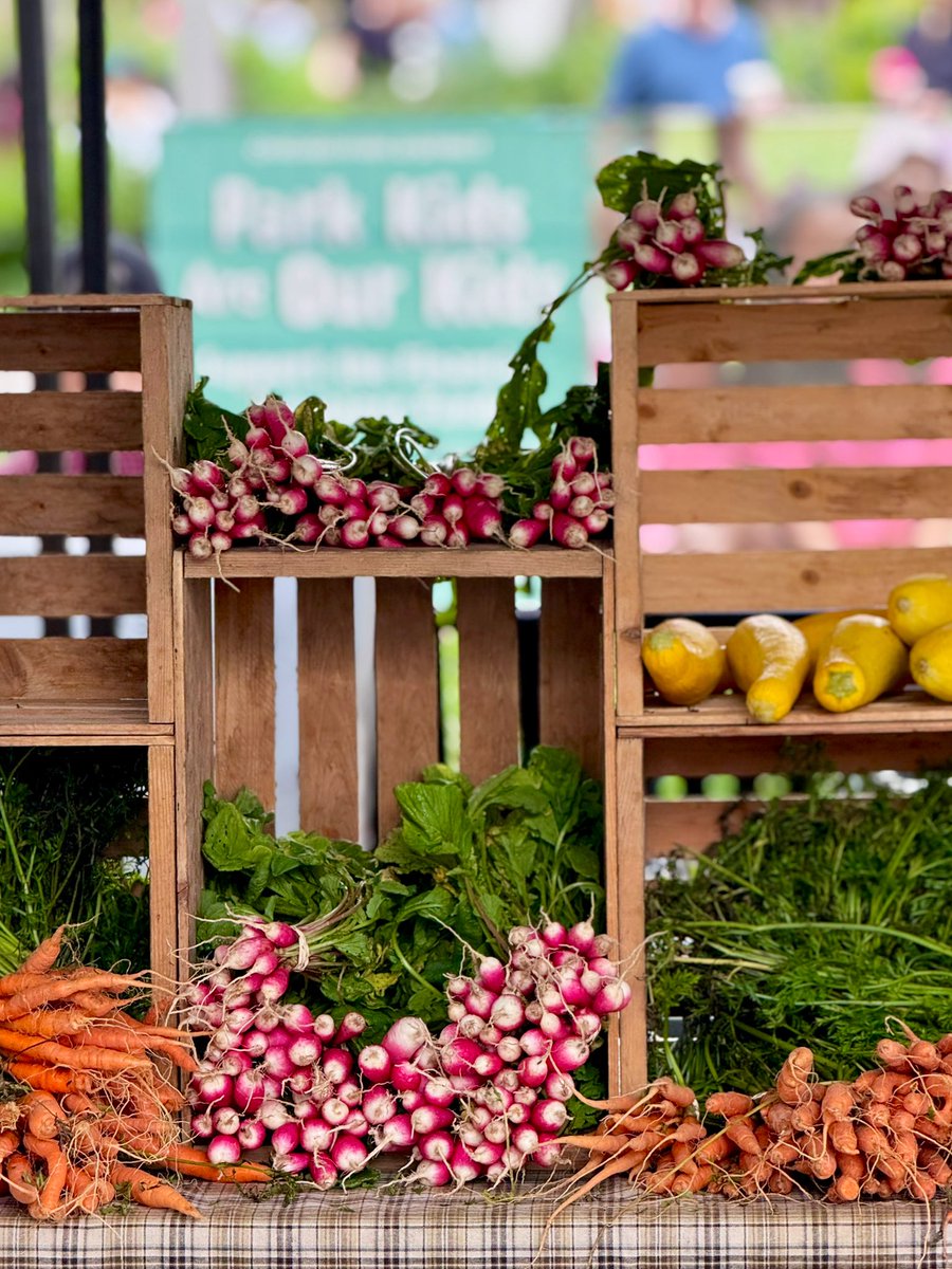 Caitlin Cook tweet media