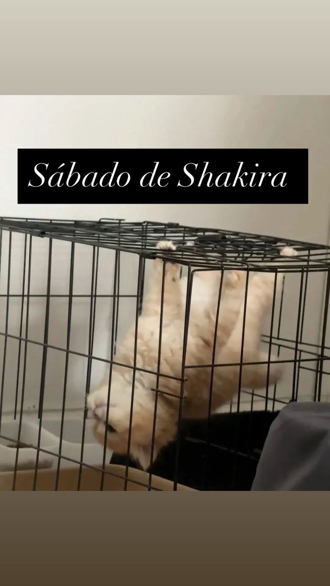 soyhernanh's tweet image. Sí que sí
