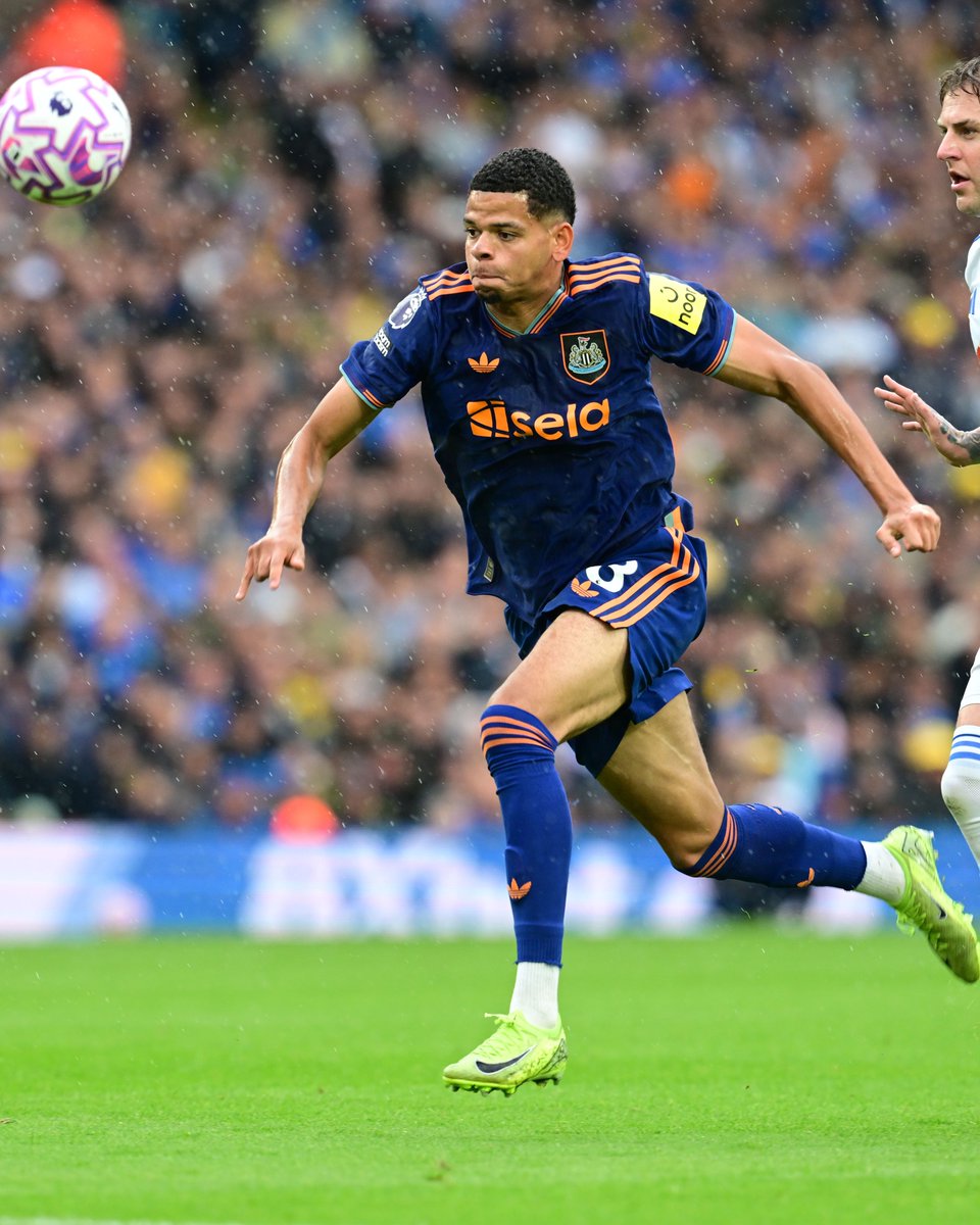 Newcastle United tweet media