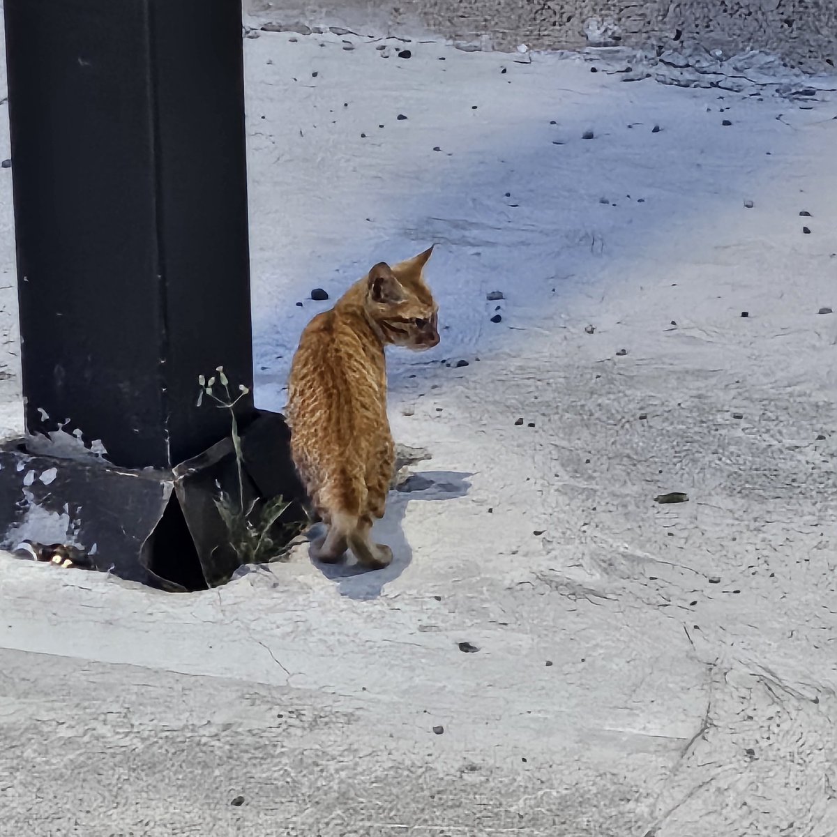 토요일 낚시 파이팅 해보려고 미친듯이 했지만  조과가 영 별로임    그래도 맛있는거 많이 먹고  , 물고기 잡은거 애용이들한태 주고 나름 뿌듯한 하루였을지도