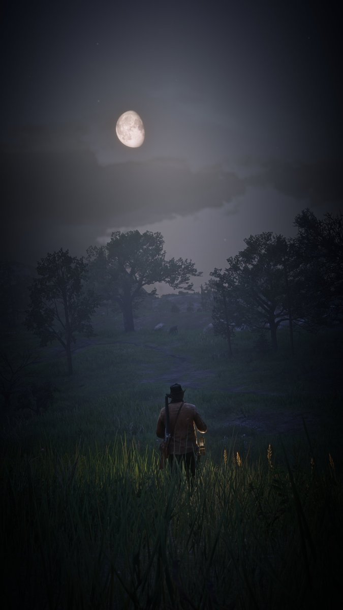 #RDR2 
#RedDeadRedemption2
#VirtualPhotography