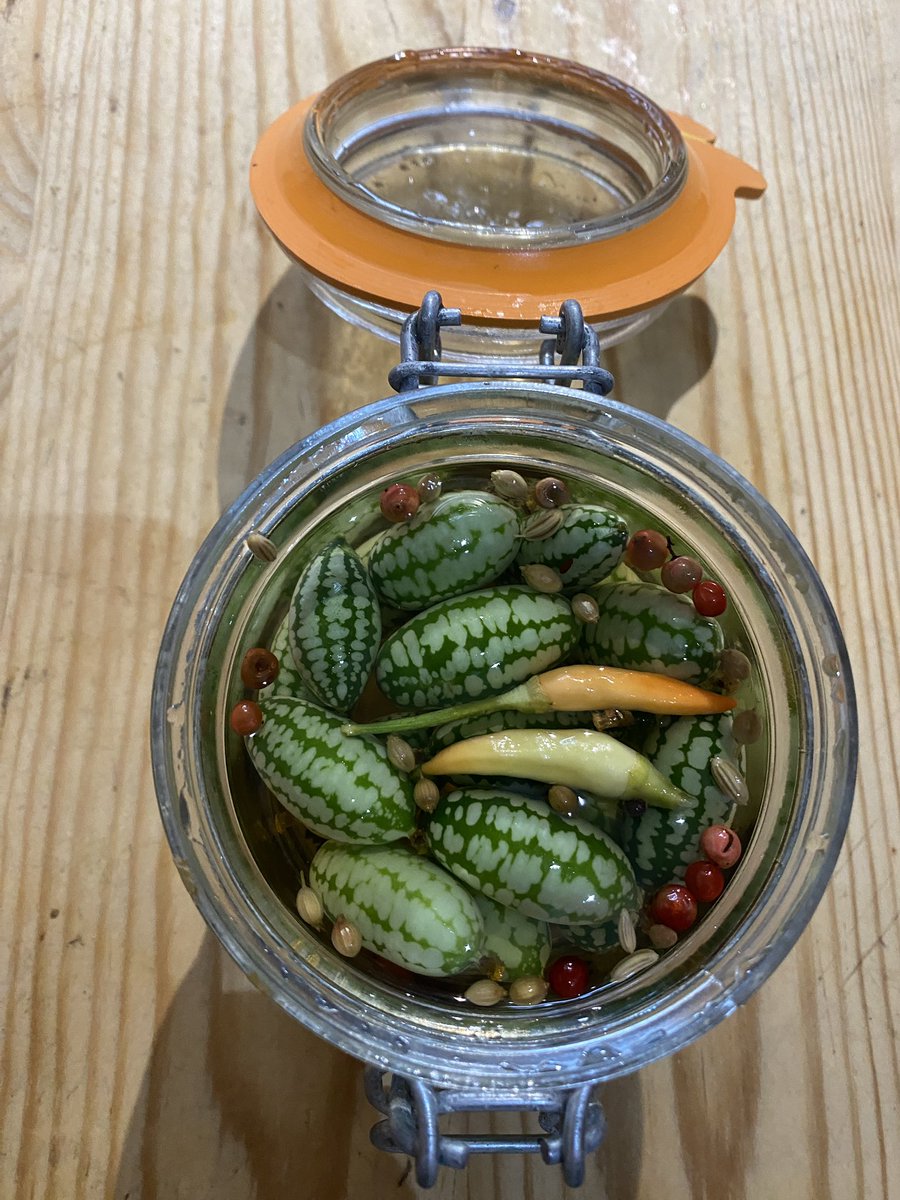 This year I grew cucamelons from seed. Only one plant survived but I got loads of fruits, so I have pickled  two jars of them.