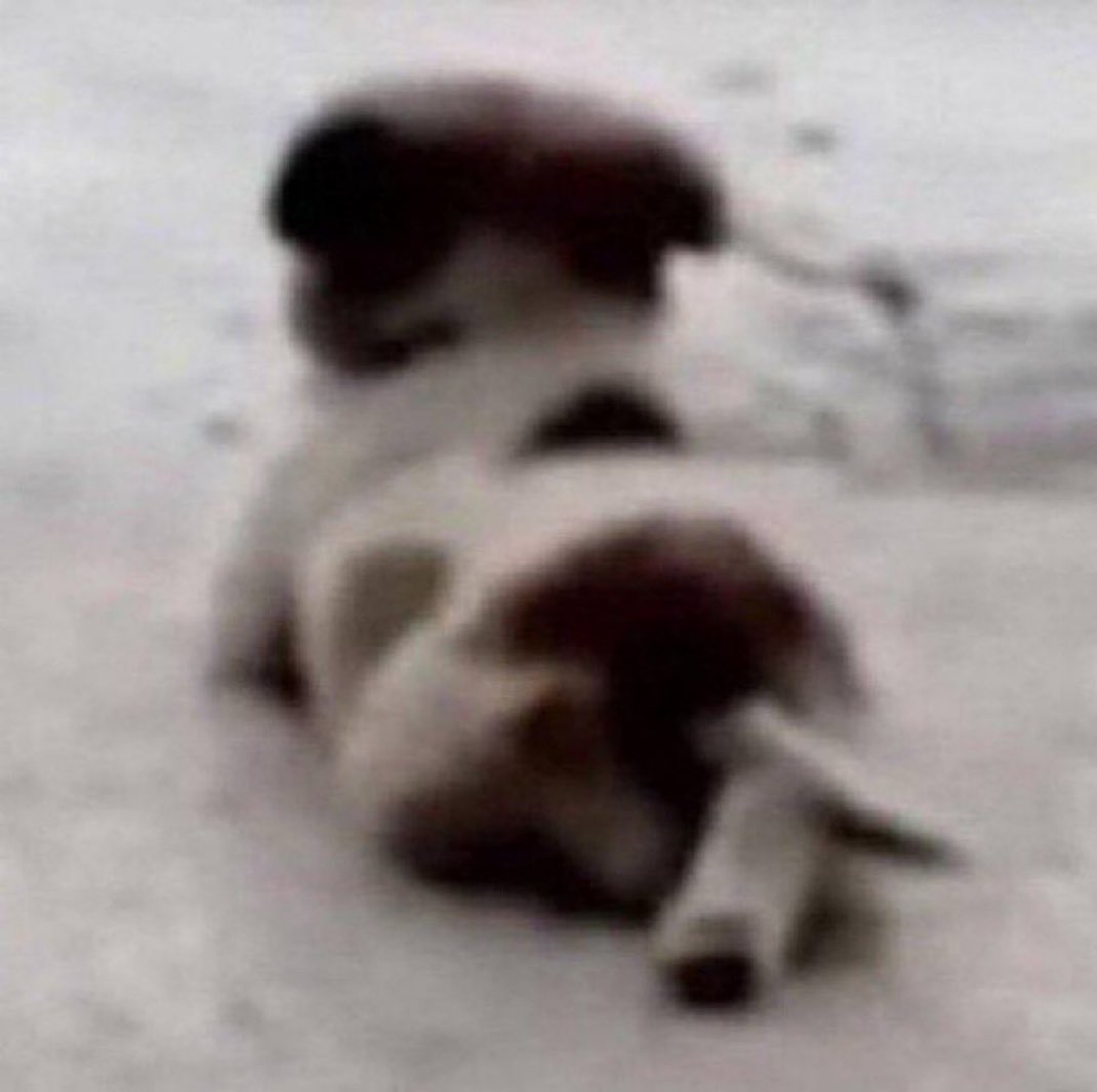 eu rio muito com essa foto não sei explicar porque