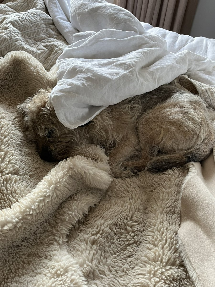 My entry for sleeping on the big bed for BTPosse chronicle