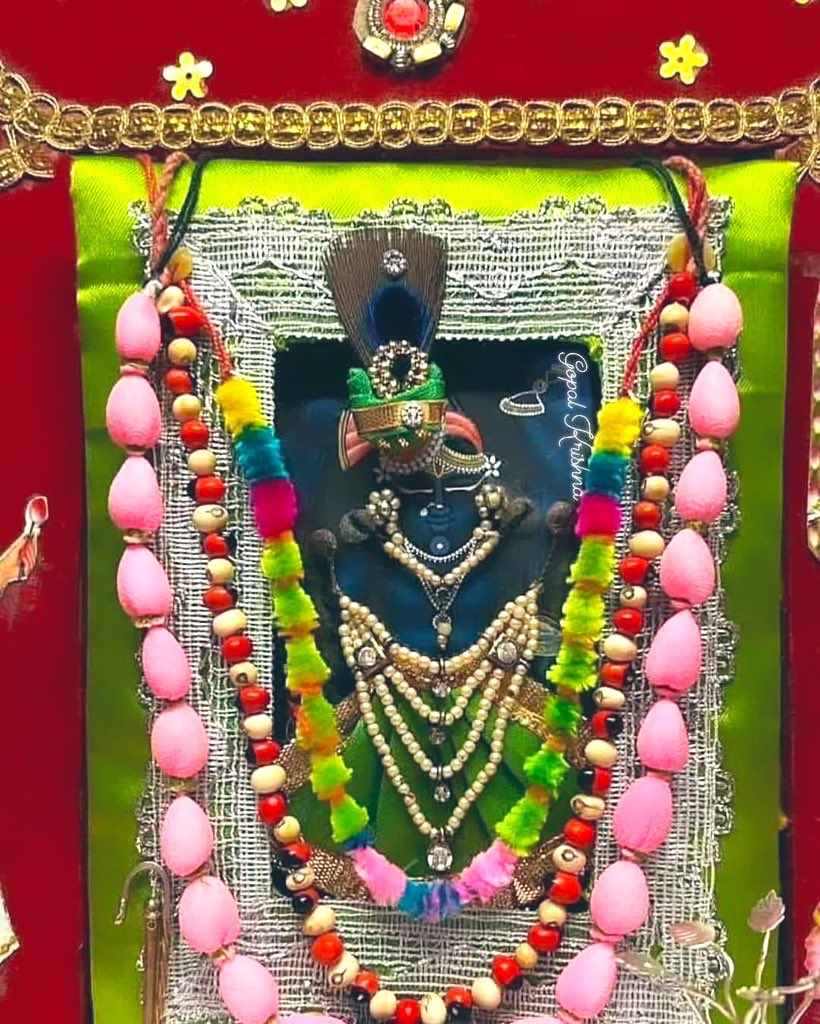 कृष्णमय रात्रि 🦚