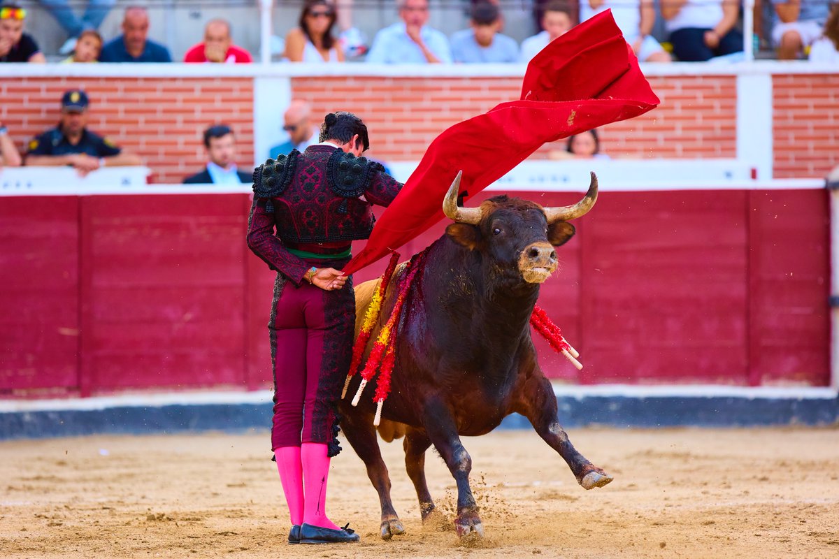 𝗜𝗠𝗣𝗢𝗥𝗧𝗔𝗡𝗧𝗘 𝗧𝗔𝗥𝗗𝗘 𝗘𝗡 𝗖𝗔𝗦𝗔 ❤️🤍🖤

🔹𝑫𝒊𝒆𝒈𝒐 𝑮𝒂𝒓𝒄𝒊́𝒂 cuaja la tarde más rotunda de su temporada ante el lote de menos opciones cortando 3 orejas.

📸: <a href="/soymiguelfer/">Miguel Navarro</a> 

#Season25 #DiegoGarcía #DG