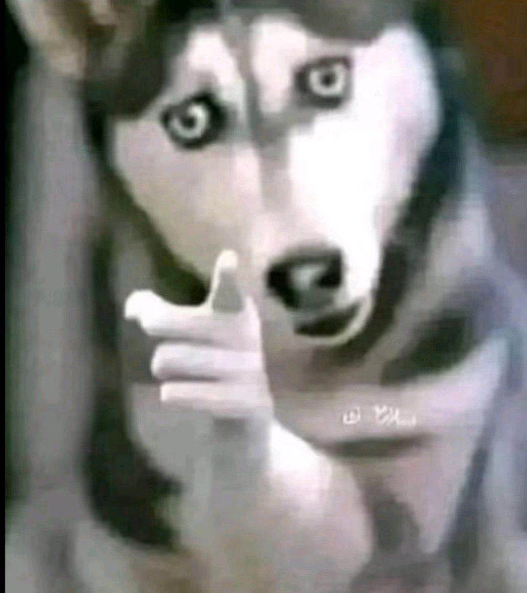 Je me suis rincé les yeux quatorze fois au moins depuis 17h.