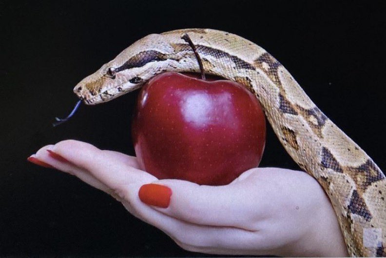 "Midesine, cinsel organına ve uykuya düşkün olanlar üç kat köledir."

Diyojen | Kinik Felsefe Fragmanları