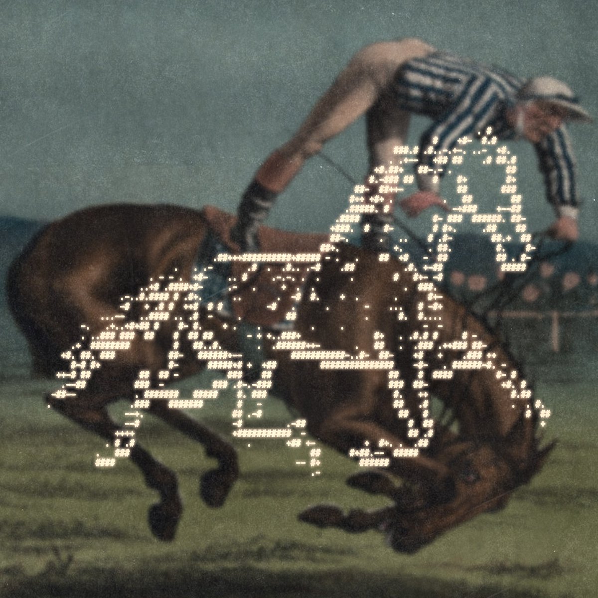 enigmatriz tweet media