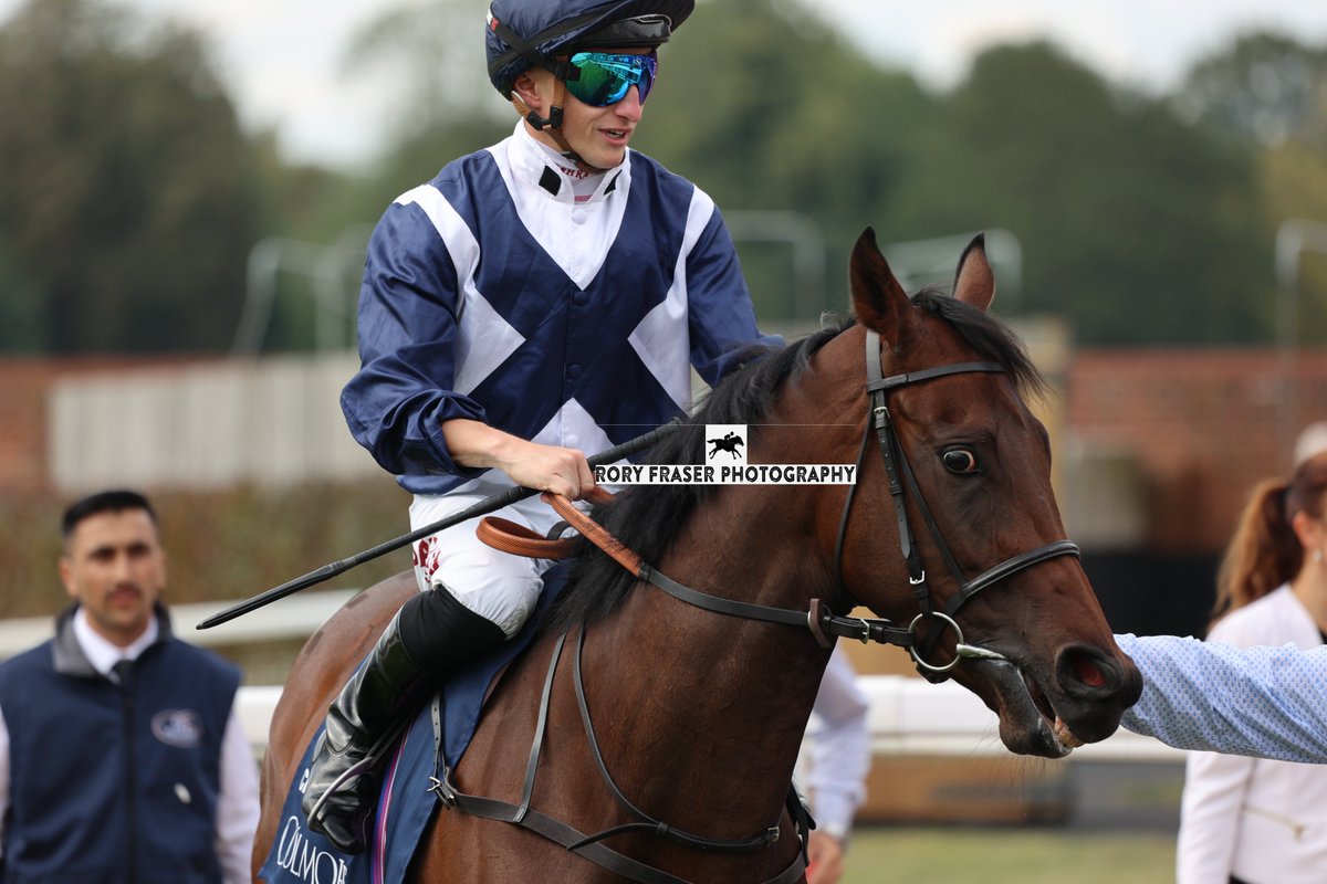 Rory Fraser Photography🤘 (@92roryf) on Twitter photo CELANDINE (Kingman x Pepita) at York recently for the Group One Nunthorpe Stakes (5f)
Trained by <a href="/edwalkerracing/">Ed Walker Racing</a> and owned by Rockliffe Stud.
A three time winner in 2024, including the Gr. 2 Lowther Stakes CELANDINE (Kingman x Pepita) at York recently for the Group One Nunthorpe Stakes (5f)
Trained by <a href="/edwalkerracing/">Ed Walker Racing</a> and owned by Rockliffe Stud.
A three time winner in 2024, including the Gr. 2 Lowther Stakes