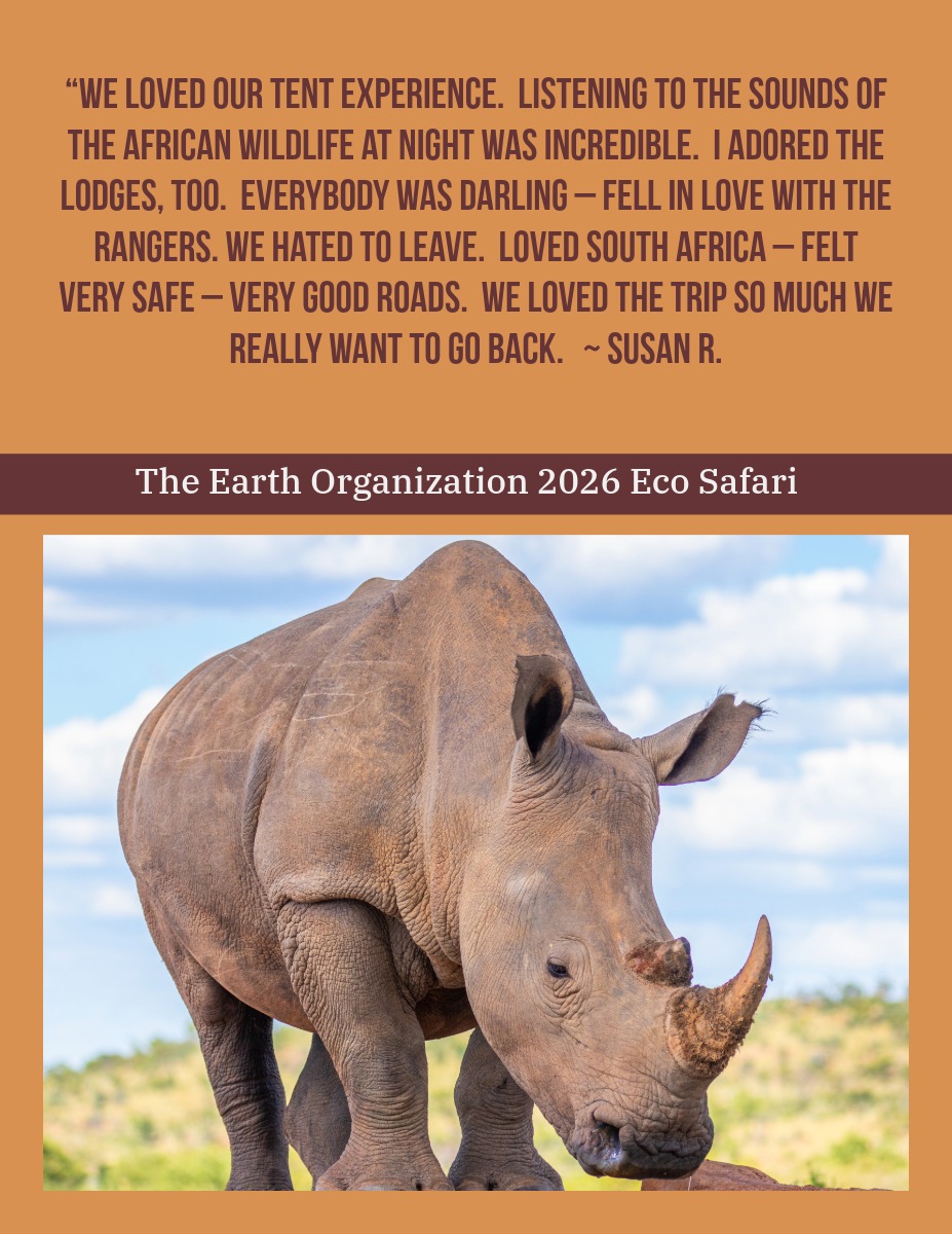 Come enjoy an incredible experience!  Signup today for a deep discount which is ending tomorrow. Reservations are very limited and are filling up. Learn more at theearthorganization.org/eco-safari/
#safari #ecosafari #WildSide #africa #theearthorganization #environment #educational #nonprofit