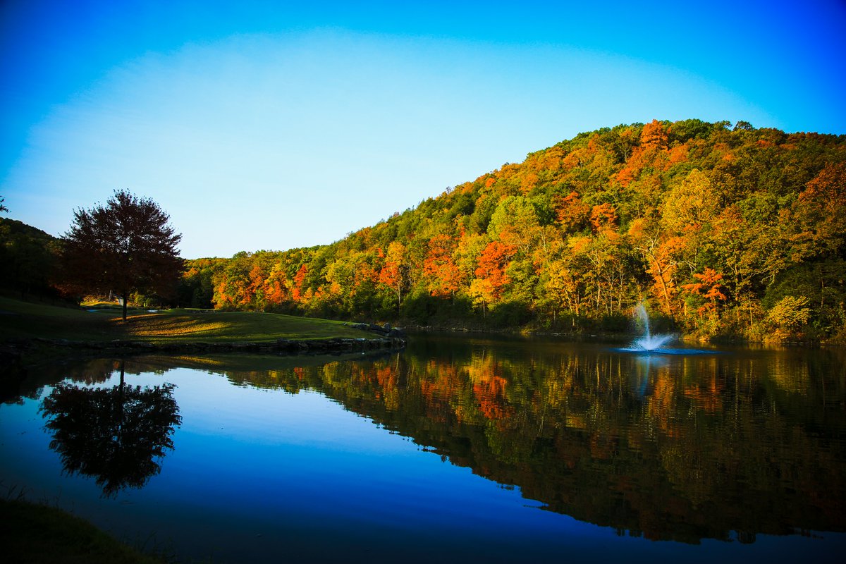 Ted Fletcher tweet media