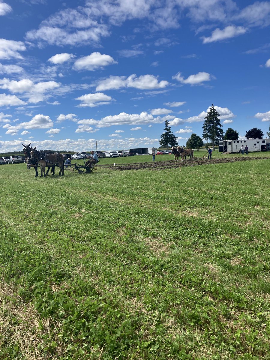 Perfect day for the Lambton Plowing Match!