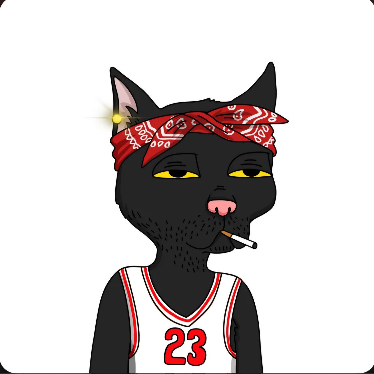 Happy Caturday Fam 💥 <a href="/GutterCatGang/">Gutter Cat Gang</a>