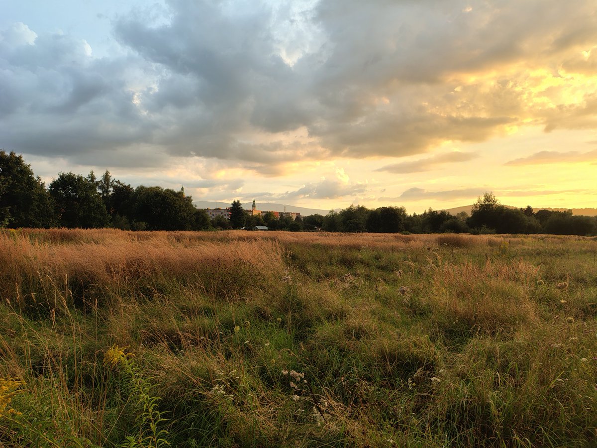 Ależ dziś magiczne światło wieczoru