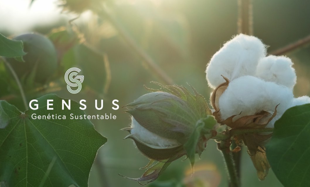 Gensus presentó “El nuevo camino del algodón” y marcó un hito para la cadena algodonera argentina

Una agenda con nuevas tecnologías y genética en semillas que consolidará la competitividad del algodón.

Más info en: asa.org.ar/index.php/actu…

#Biotecnología #ASA  #Algodon