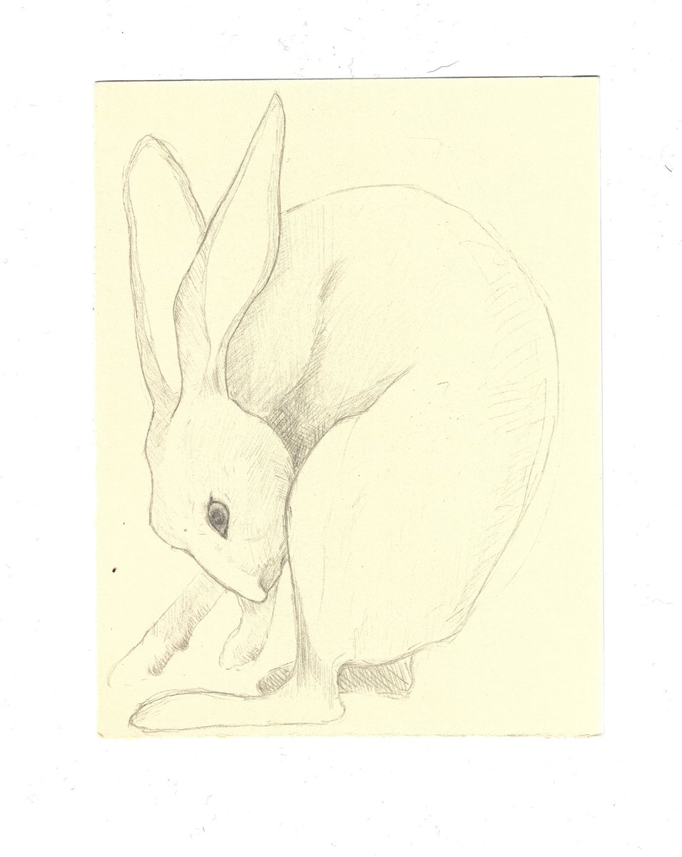 ☺︎ Tofu ☺︎ tweet media