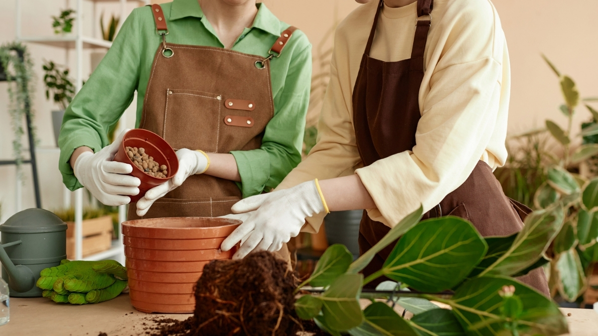 Telefondan uzak keyfinizi artıracak hobilerle buluşmaya ne dersiniz? tmd.yt/6sm7z