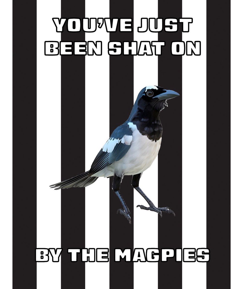 𝐿𝑢𝑘𝑒 𝑀𝑜𝑢𝑛𝑡𝑒𝑛𝑒𝑦 tweet media