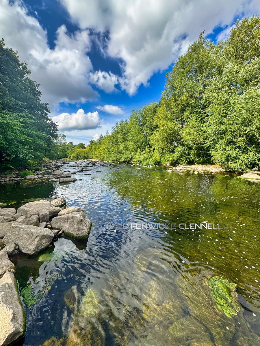 River Adventures… 🌤️🌿