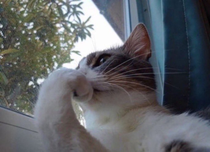 sometimes I ask myself how my life would look like if I never started with crypto

never thought that buying Safemoon would change my life