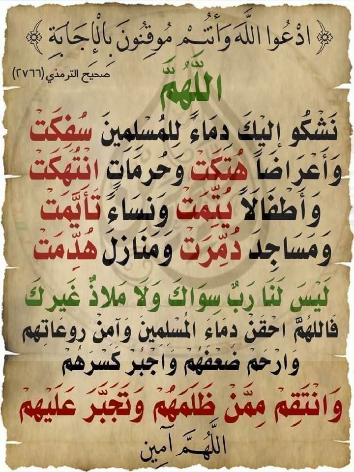 Enas357298682's tweet photo. @Abu_Salah9 https://t.co/9UqgpUCHjr