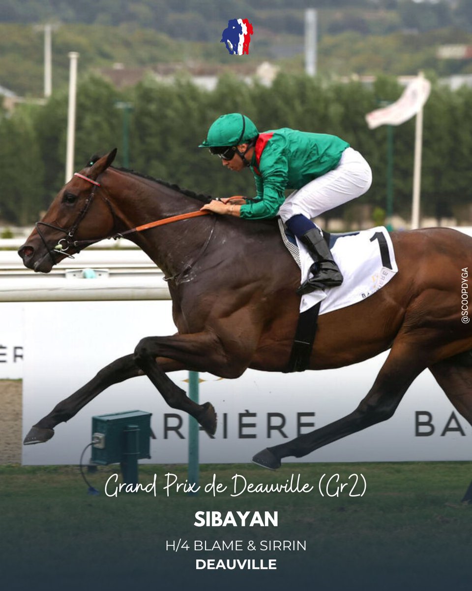 ⭕ #Deauville – Grand Prix de Deauville (Gr2)
Sibayan (Blame) confirme sa classe : après le Prix Maurice de Nieuil, il s’impose avec autorité sur 2.500m, devançant Casapueblo et New Ground. Les Grs1 internationaux lui tendent les bras.
👉 jourdegalop.com
