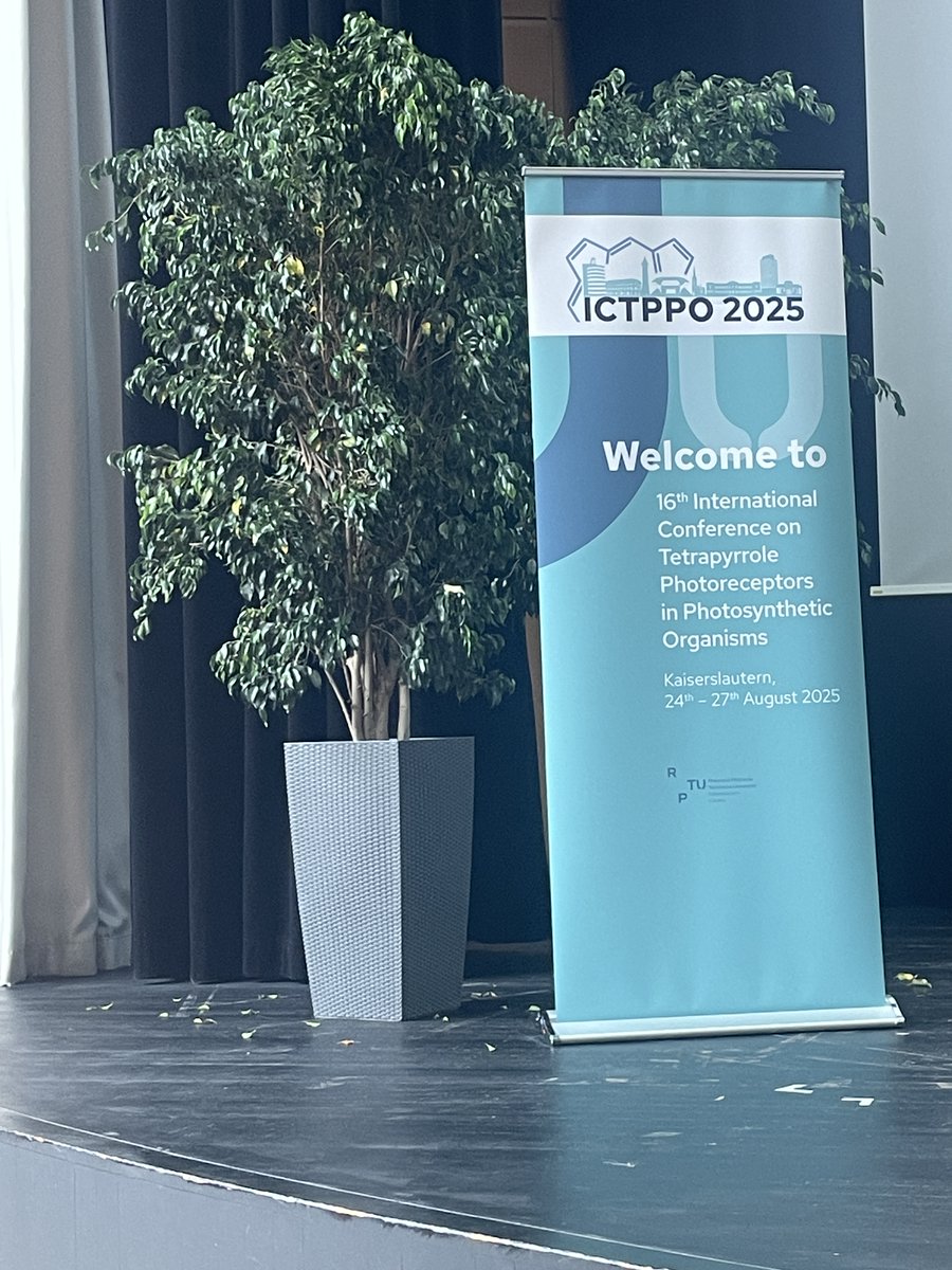 Tina DM #SinCienciaNOhayFuturo 👩🏻‍🔬🧬 tweet media