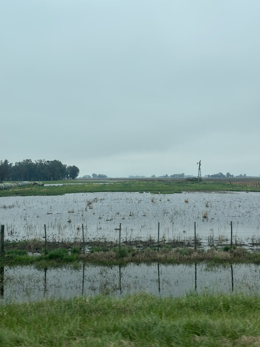 Agua, agua y agua se ve desde la Ruta 5 (y ni hablar metiéndose más adentro). El oeste bonaerense está pasándola pésimo. Y da la sensación de que el 27 de julio muchos se acostaron a dormir una siesta larga y dejaron solos a los que están en territorio lidiando con el abandono.