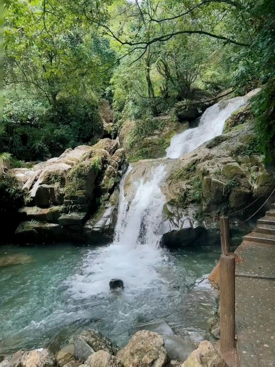 halisumar's tweet image. Hiking is the answer, who cares what the question is🍃🌳