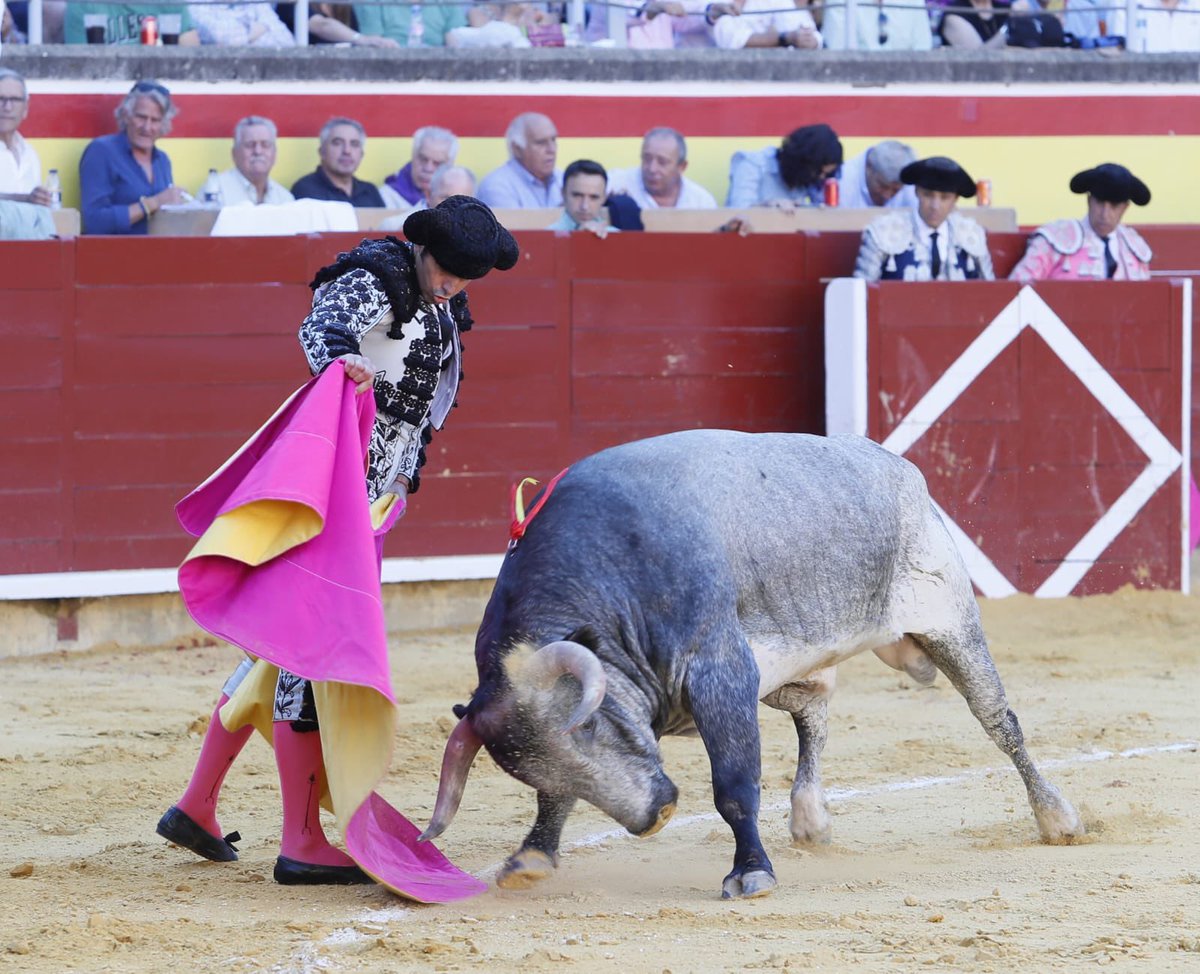 InfoMAPerera's tweet photo. DOS OREJAS en el cuarto de la tarde en 📍Palencia 🙌🏽

#perera #ilovetoros https://t.co/xsDMsEZqaC