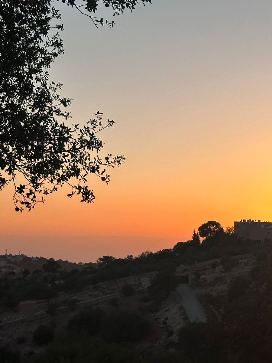 أنت بتطلع من بدر الجديدة بس هي ما بتطلع منك 🫰🏻🥹💚💚💚💚💚💚