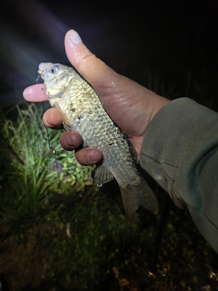 Шарман, бля!