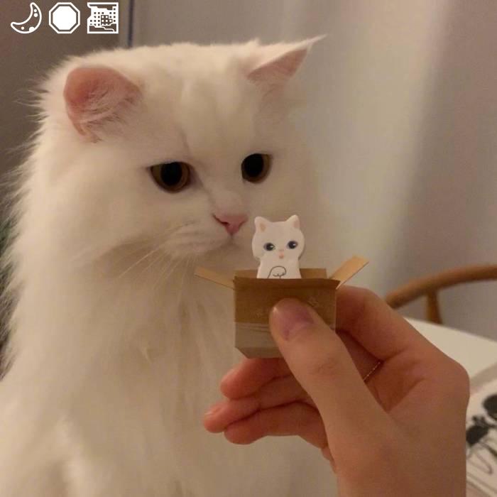 Everyone can be better with patience and perseverance Make today count.💅🥗🔱🚸8404