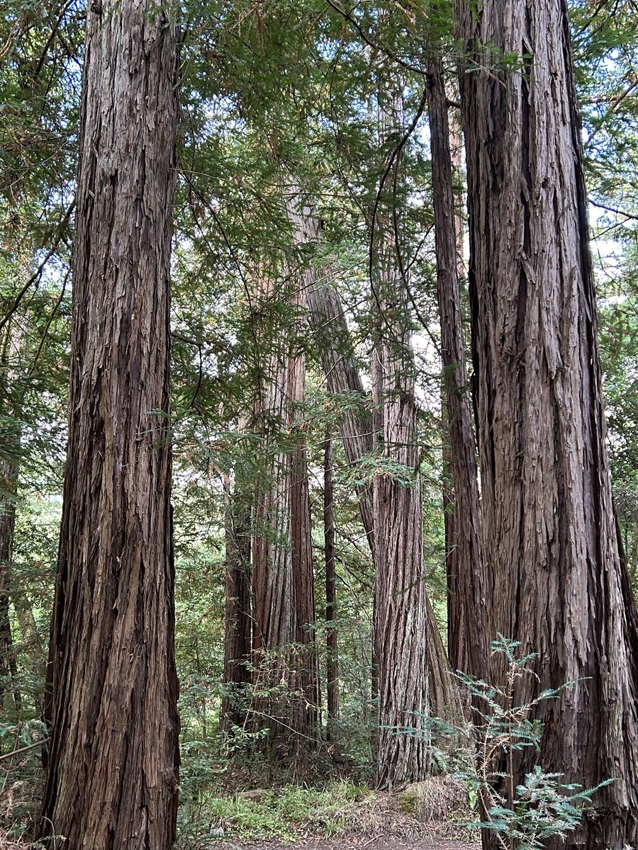 Eric A. Appel tweet media