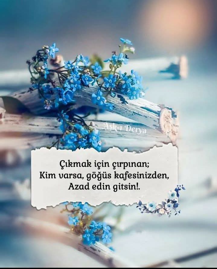 Herkes bir gün gider
Kimi muhabbetimizden
Kimi yolumuzdan
Kimi yanımızdan
Kimi gönlümüzden
Kimi hayatımızdan
Gitmek isteyene yol çoktur
Gidenlerin yolu açık
Kalanların hayatı güzel olsun

Bize gerekli olan; yalansız bir iyilik
incitmeyen bir güzellik
Güleryüzlü doğruluktu..!
 Ş.E
