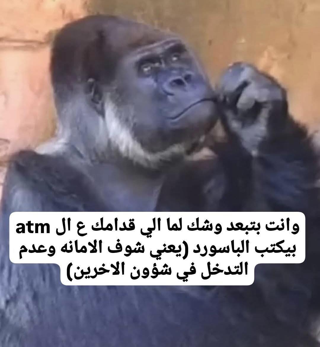 😂😂😂